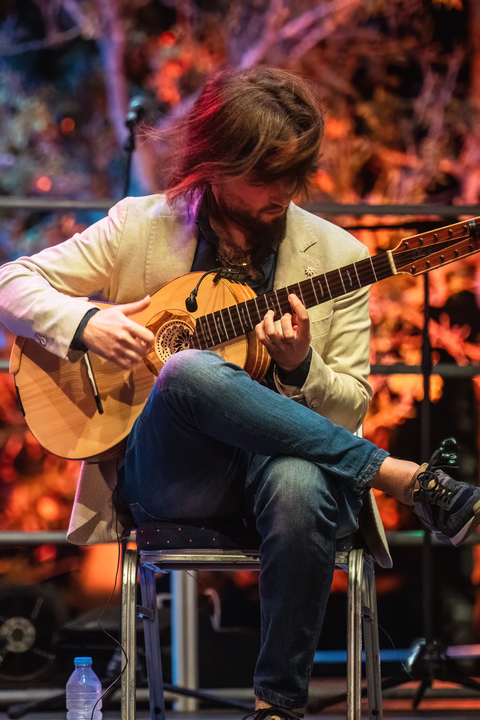 Marcello De Carolis chitarra battente